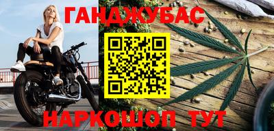 гашик Лесосибирск