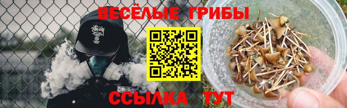 Псилоцибиновые грибы Magic Shrooms Татарск
